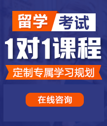 被操了又骚又爽视频留学考试一对一精品课